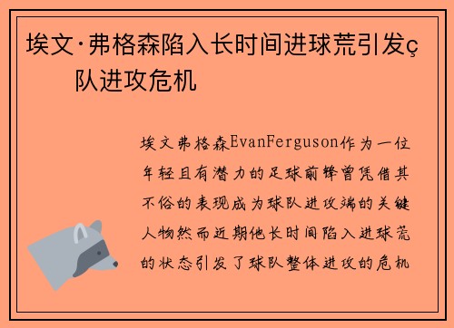 埃文·弗格森陷入长时间进球荒引发球队进攻危机 埃文·弗格森陷入长时间进球荒引发球队进攻危机